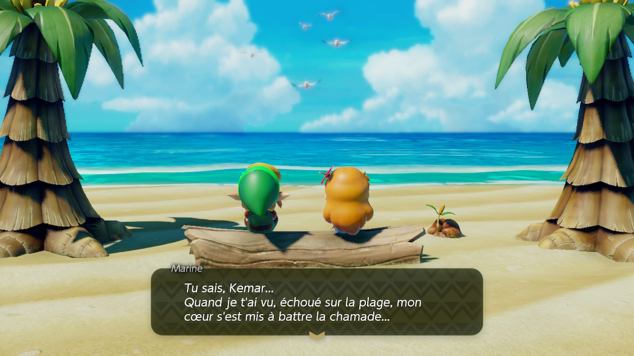 Tu sais Kemar… Quand je t'ai vu, échoué sur la plage, mon cœur s'est mis à battre la chamade… — The Legend of Zelda: Link's Awakening — Switch