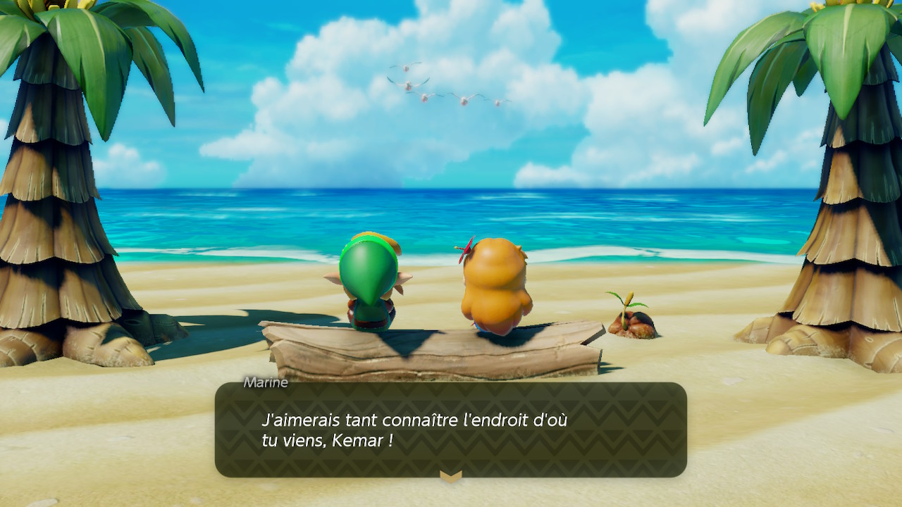J'aimerais tant connaître l'endroit d'où tu viens, Kemar ! — The Legend of Zelda: Link's Awakening — Switch