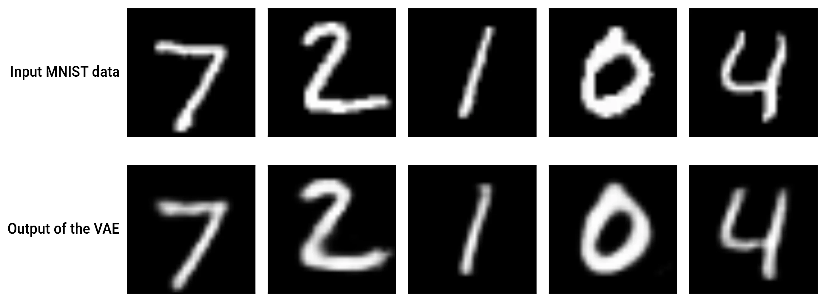 Input and output of the VAE